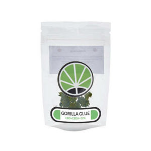 gorilla glue weed cbd uk 1