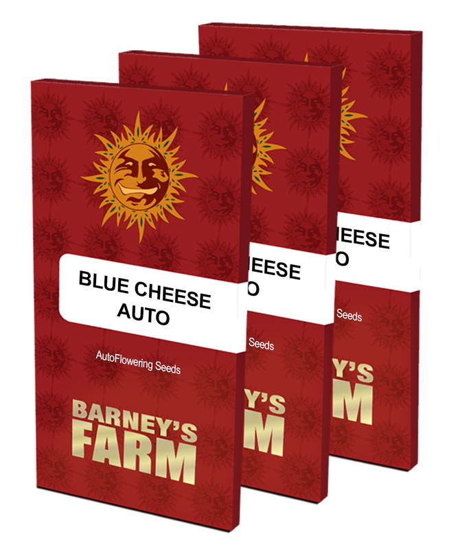 blueberry cheese auto packet large