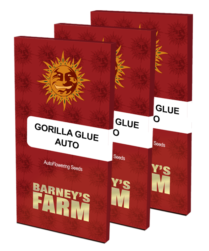 gorilla glue auto packet large