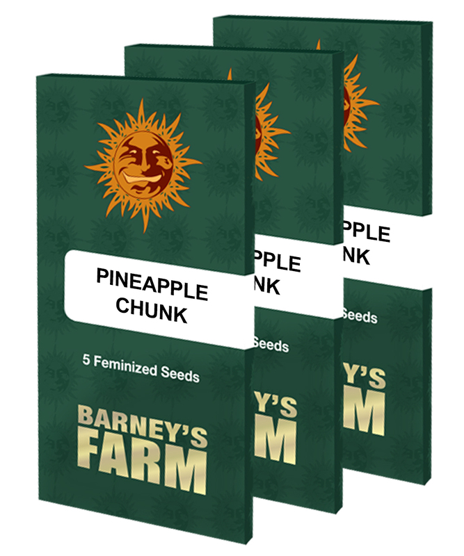 pineapple chunk packet large