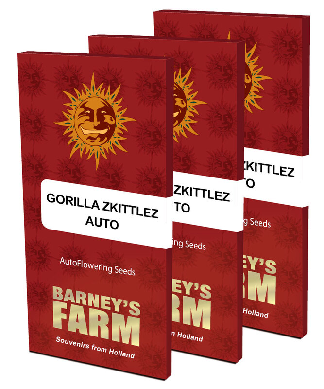 gorilla-zkittlez-auto-packet-large