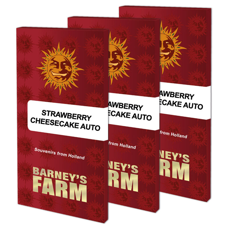 strawberry-cheesecake-auto-packet-large