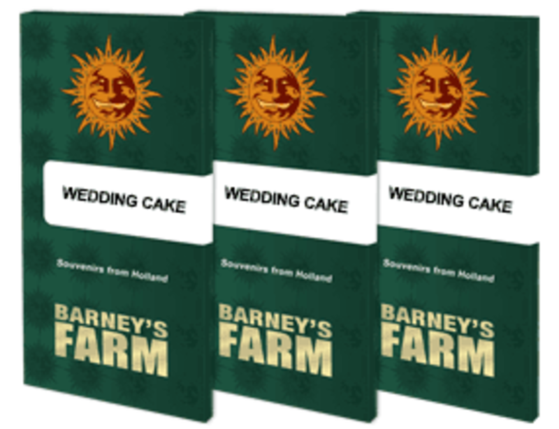 wedding-cake-packet